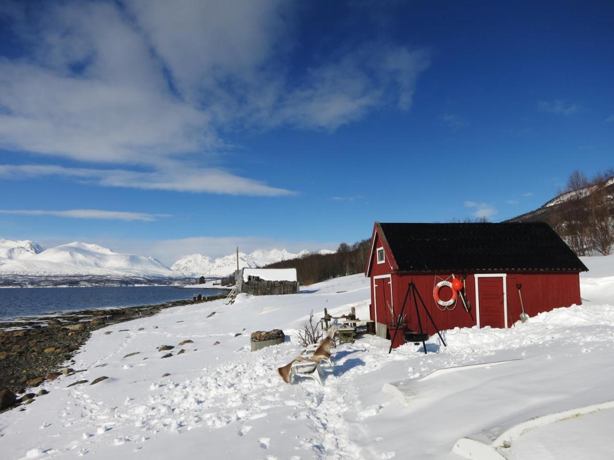 Olderdalen Ski Camp Buitenkant foto